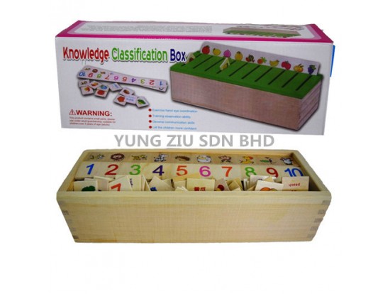 KNOWLEDGE CLASSIFICATION BOX